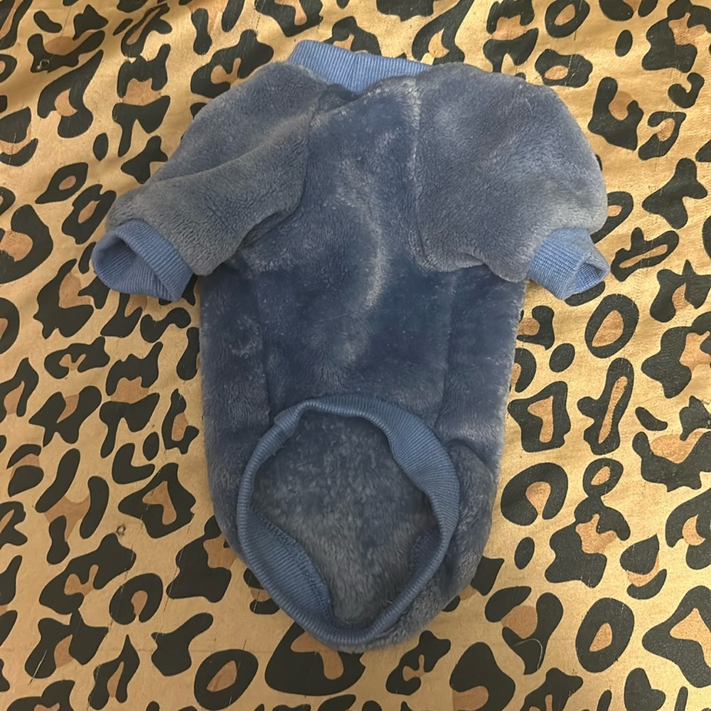 small puppy blue fur jacket